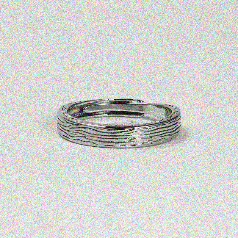 Persistence Ring.