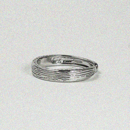Persistence Ring.