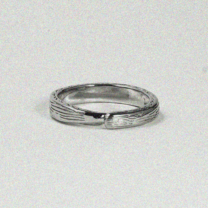 Persistence Ring.